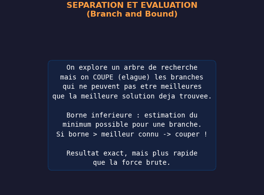 Animation Branch and Bound